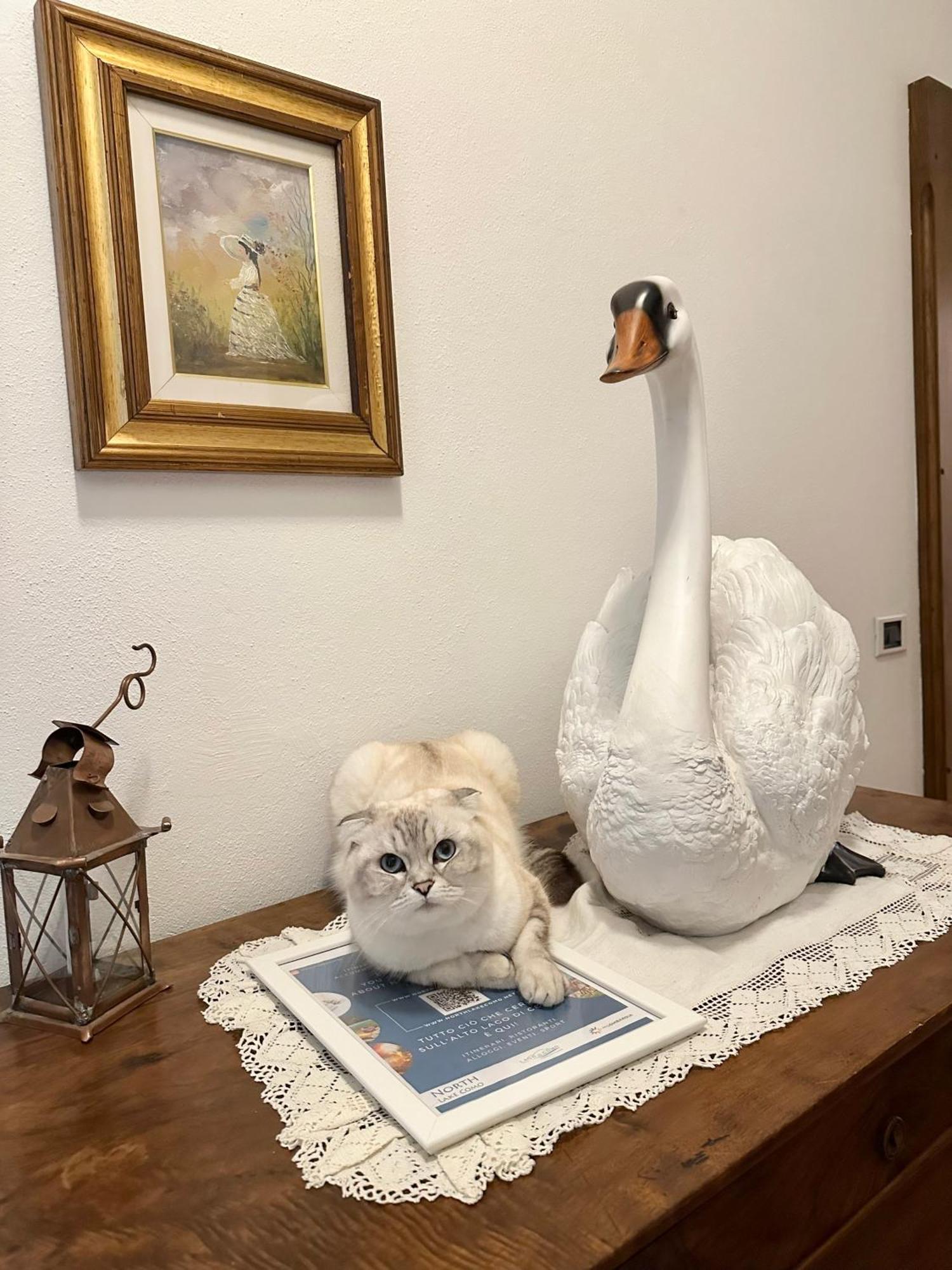 B&B La Dolce Casa Lago Di Como Cremia Екстер'єр фото
